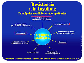 http://uploads.blogia.com/blogs/c/cr/cri/cristormor/upload/20080829151619-resist-insulina.jpg