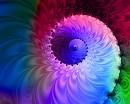 http://uploads.blogia.com/blogs/e/ev/eva/evaglauca/upload/20090526185245-espiral-de-color.jpg